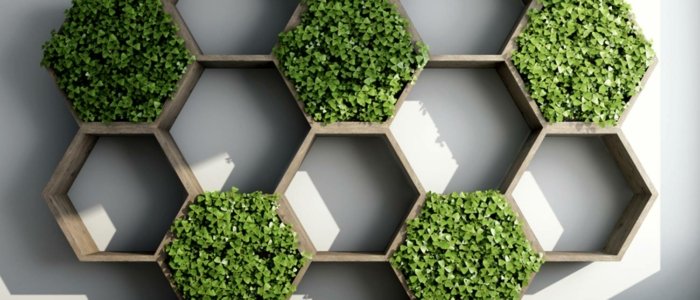 Spread life with the living walls